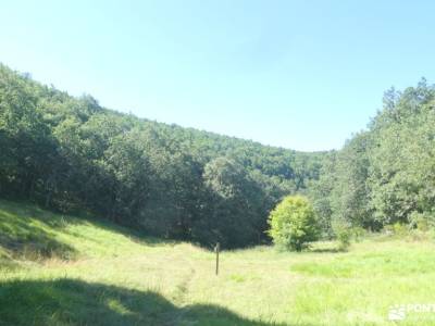 Bosques y Leyendas del Alto Carrión; rutas montaña cerca madrid viajes exclusivos senderismo maravil